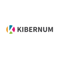 Consultoria-de-gestion-Kibernum